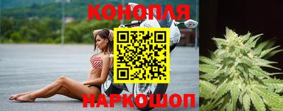 гашик Краснознаменск