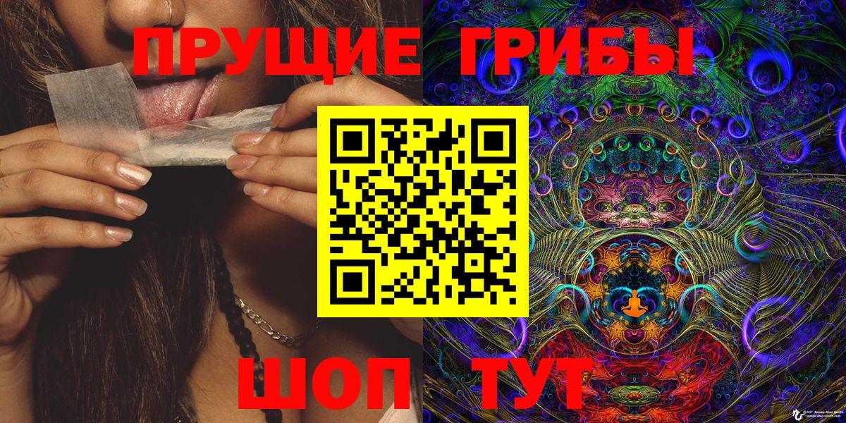 Псилоцибиновые грибы мухоморы  где найти наркотики  Камышлов  Вход с VPN  Псилоцибиновые грибы GOLDEN TEACHER 